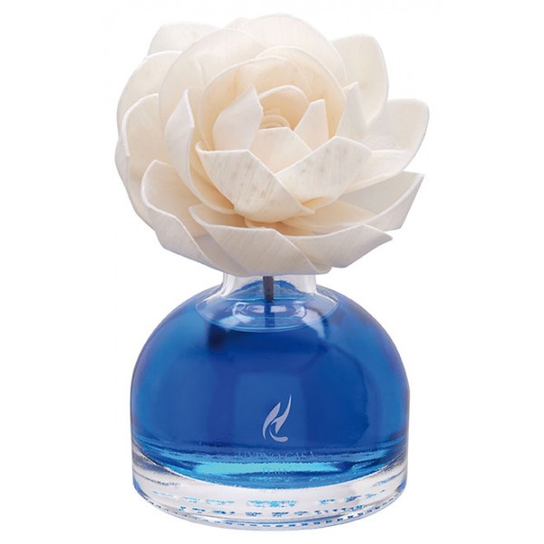 Hypno Casa - Diffusore con rosa 100...