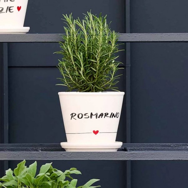 Simple Day - Vaso Rosmarino con...