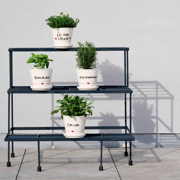 Simple Day - Vaso Rosmarino con...