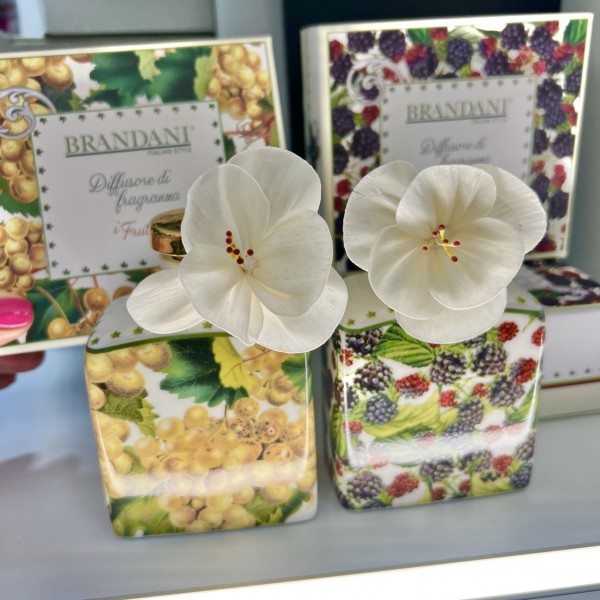 Brandani - Primizie Diffusore decoro...