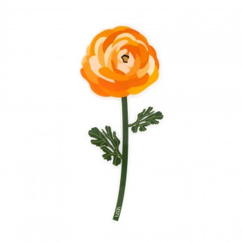 Vesta Home - Special...