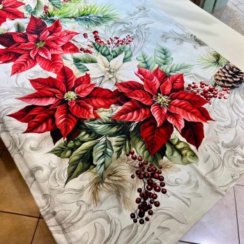 Vingi - Stelle di Natale...