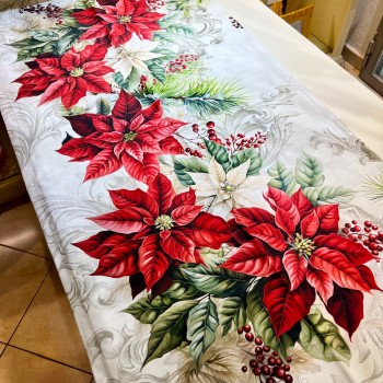 Vingi - Stelle di Natale... 2