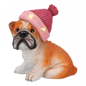 Timstor - Cucciolo con...