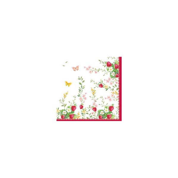 Easylife - Jardin des Fraises...