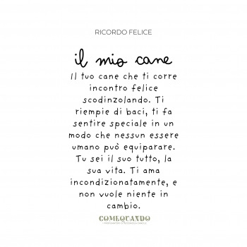 Accendila - Profumatore... 2