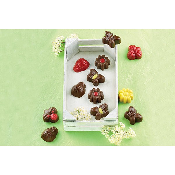 Silikomart - Scg24 choco springlife -...