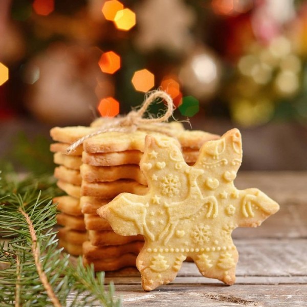 Folkroll - Mattarello junior renna