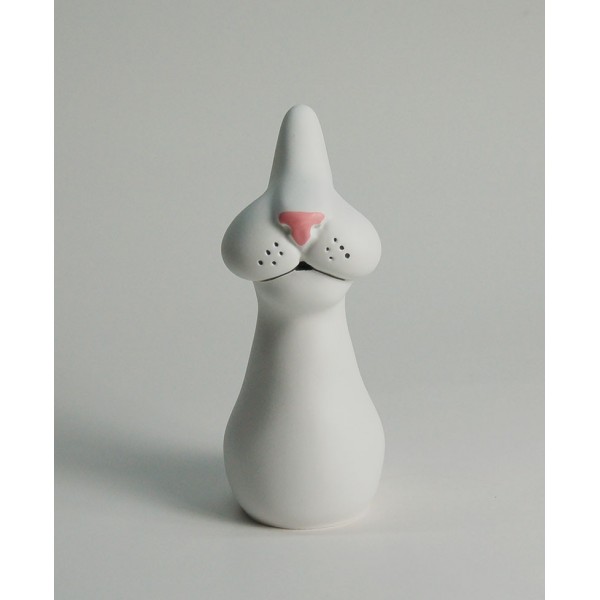 Antartidee - Gatto Portaocchiali